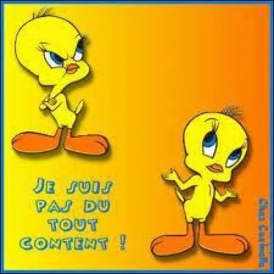 À quel rappeur doit-on cette chanson des années 2000 "J'pète les plombs" ?