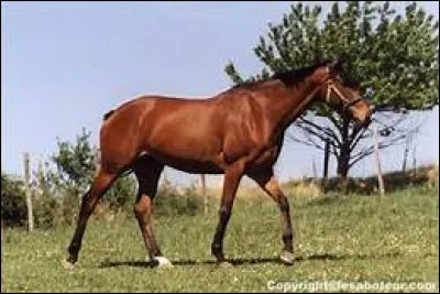 Combien y a-t-il de temps dans le pas ?