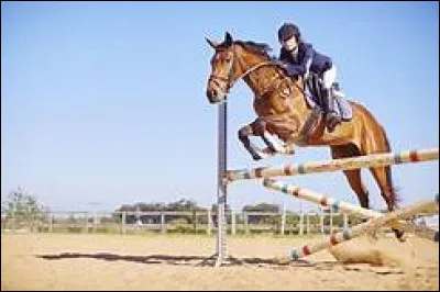 Pour sauter, que faut-il faire ?