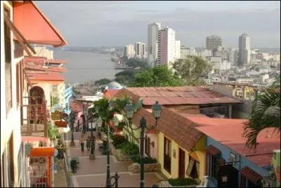 Ccilia et Mathieu ont eu un sacr handicap : faire l'tape avec une femme et ses 2 cages de perruches. A la fin de l'tape, les concurrents ont d monter  Guayaquil. Combien y avait-il de marches ?