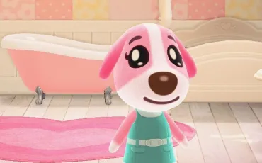 Quiz Animal crossing