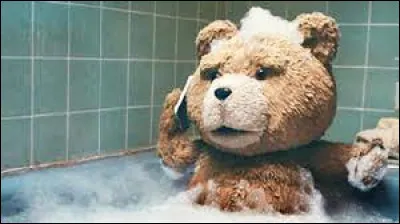 Dans quel film ce petit ours apparait-il ?