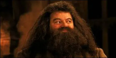 Qui est Hagrid ?