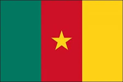 &Agrave; quel pays ce drapeau appartient-il ?