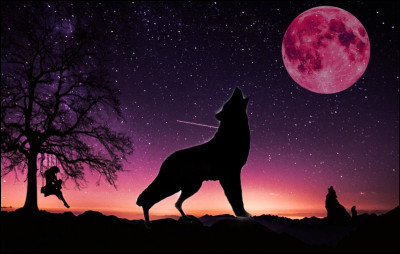 À quel écrivain doit-on le roman "Des Grives aux loups" ?