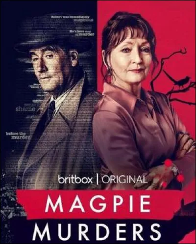 De quel pays est originaire cette série ?