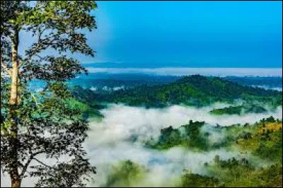 Quelle est la monnaie de ce pays ?