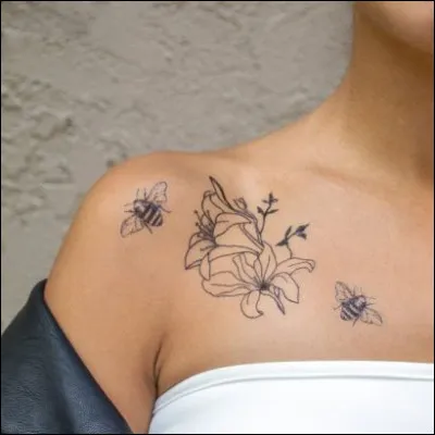 Audace, indécence exigées - Blocus pour qui souhaite s'immiscer !