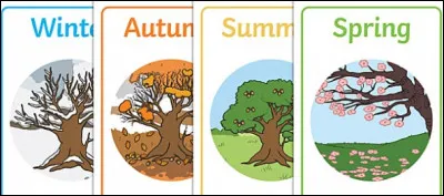 Quelle est ta saison préférée ?