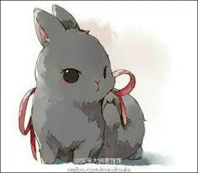 Tu préfères les lapins...