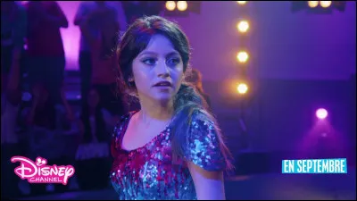 Quel est le nom de cette série ?