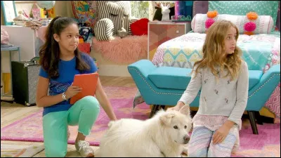 Quel est le nom de cette série ?