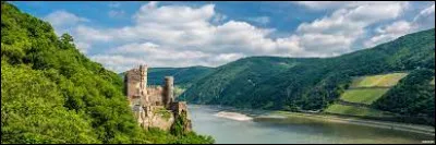 Dans quelle mer le Rhin se jette-t-il ?