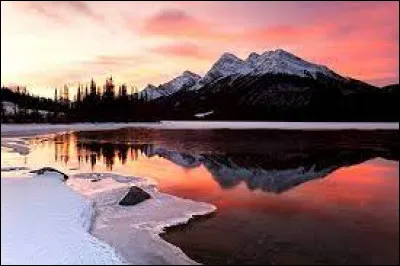 Quel est l'ours le plus commun d'Am&eacute;rique du Nord ?