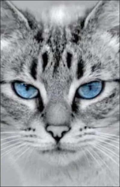 Qui est sa sur vivante ?