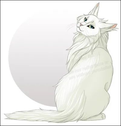 Qui est celle qui est morte ?