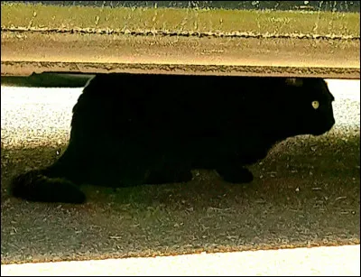 Qui est son frère ?