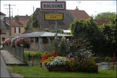 Je vous emmène à présent, non pas en Italie, mais dans le Grand-Est, à la découverte de Bologne. Village de l'aire d'attraction Chaumontaise, il se situe dans le département ...