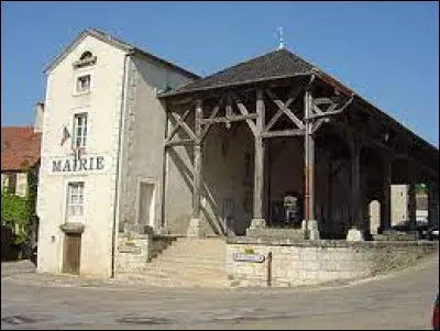 Nous sommes en Bourgogne-Franche-Comté, devant les halles du XVe siècle de Gemeaux. Commune de l'aire d'attraction Dijonnaise, elle se situe dans le département ...