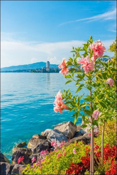 Quel est le spin du tungst&egrave;ne 183 ?