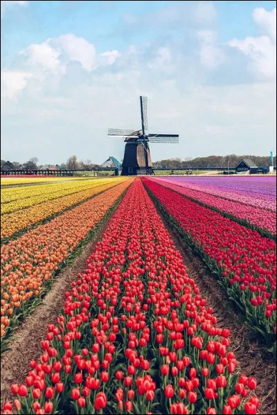 Avec qui Dustin sort-il ?