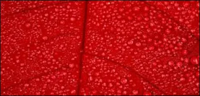 Comment dit-on "rouge" en anglais ?