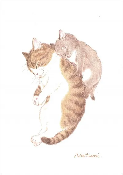 Ton chat est de couleur...