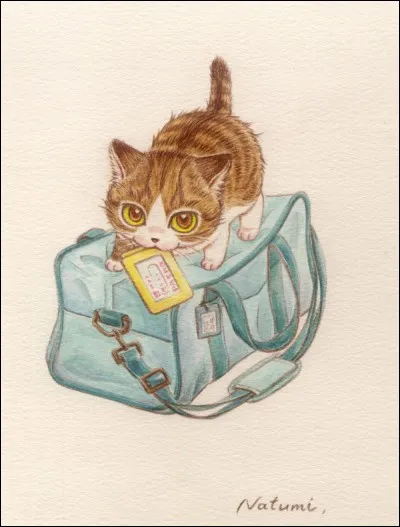 Où as-tu eu ton chat ?