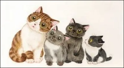 Qui préfères-tu dans ''Plum'' ?