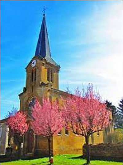 Je vous propose de commencer notre balade dominicale à la frontière belge, à Allondrelle-la-Malmaison. Village du Pays Haut , il se situe dans le département ...