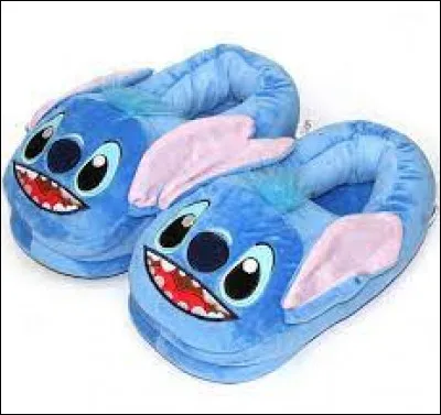 Comment s'appelle ce type d'accessoire ?