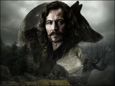 Qui sont les parents de Sirius Black ?