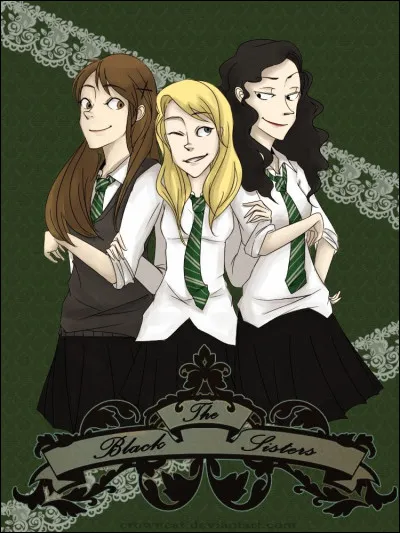 En quelle année le registre des Sang-Pur fut-il publié ?