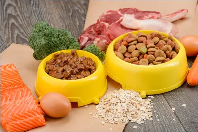 Que préfères-tu manger ?