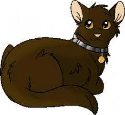 Dans le hors-série « L'Épreuve d'Étoile de Ronce », qui allait mieux avec Étoile de ronce ?
Poil dÉcureuil ou Jess ?