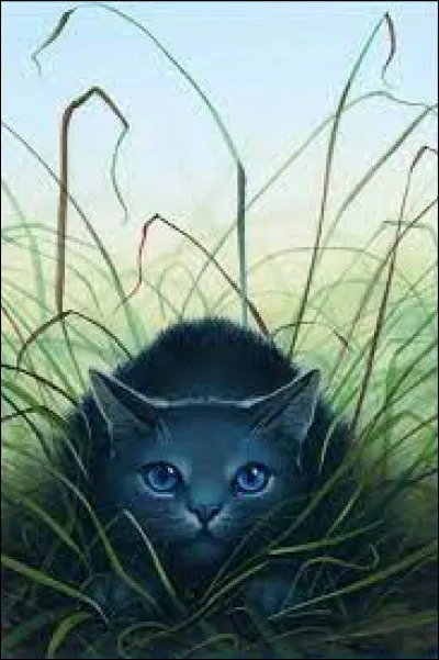 Comment est morte Étoile Bleue ?