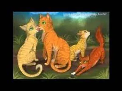 Comment sappellent les filles dÉtoile de Feu et Tempête de Sable ?