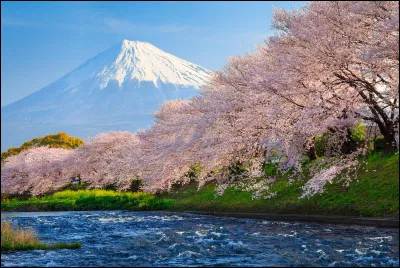 Sommet le plus élevé et le plus sacré, le ... constitue le symbole classique du Japon, source d'inspiration pour les artistes et poètes.