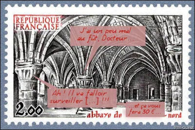 Durant tous ces siècles, dans la promiscuité, les colonnes se consultent...