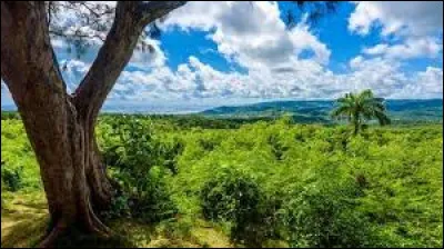 Quelle est la capitale de cet État ?