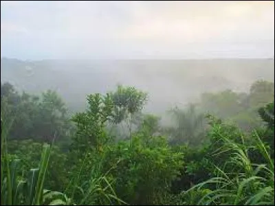 Quel sommet est le point culminant de cet État ?