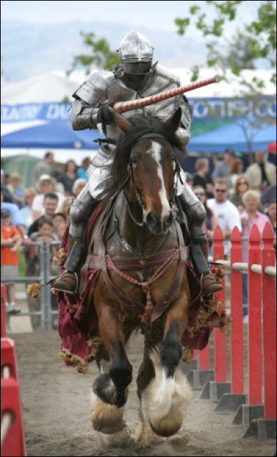 Au Moyen Âge, c'était un cheval de guerre apprécié, car il était capable de porter les chevaliers et leurs énormes armures. Lequel est-ce ?