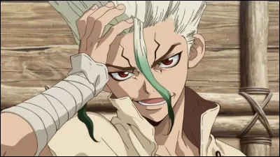 Quel est le nom de cet animé ?