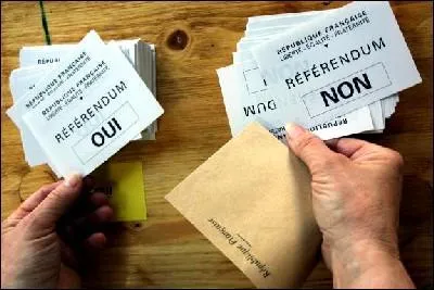 Plus tard de Gaulle sollicita les franais grce  un rfrendum  propos :