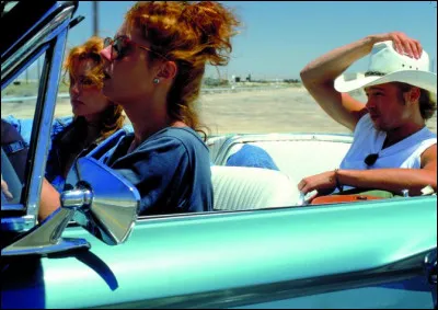 Dans quel film Geena Davis et Susan Sarandon jouent-elles des femmes qui se rebellent contre la domination masculine ?