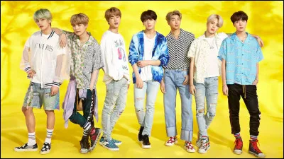 Quel est le nom de la communauté de fans (fandom) du groupe de K-pop, BTS ?