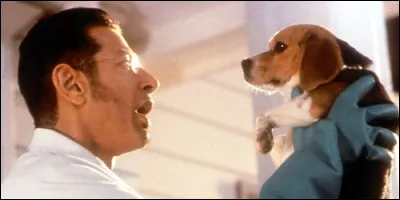 Comment se nomme le chien que recueille le professeur Brody dans "Comme chiens et chats" ?