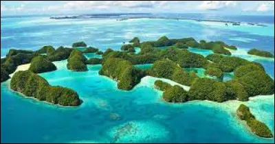 Laquelle de ces langues n'est pas officielle ?