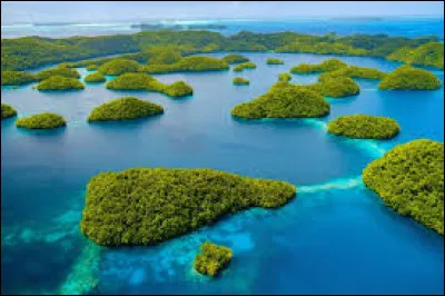 Comment ne peut-on pas appeler un habitant des Palaos ?