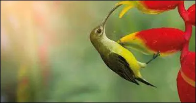 En quelle année en a-t-il parlé pour la première fois ?